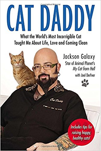 This is not KattDaddy. (Image via Amazon)