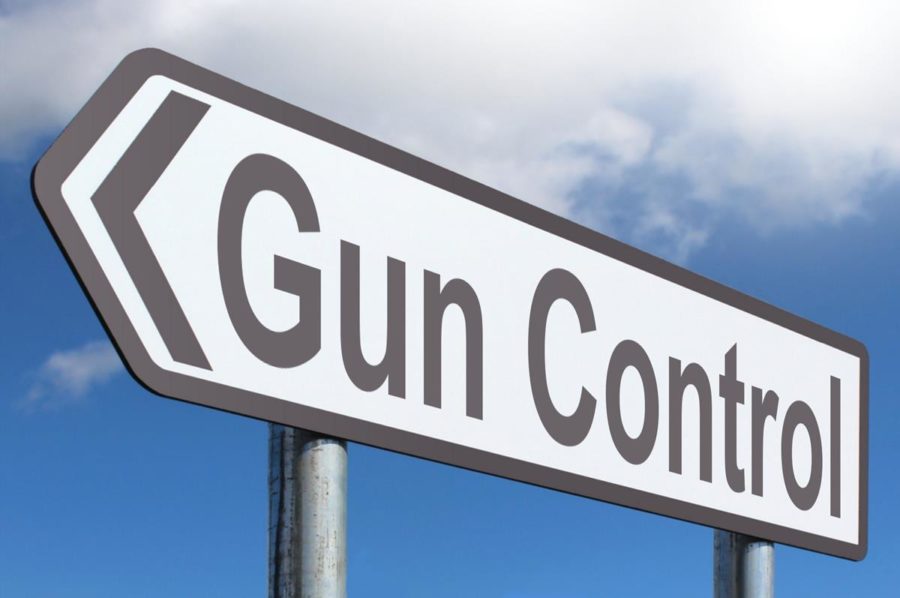 Gun+Control